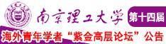 淫色操逼网南京理工大学第十四届海外青年学者紫金论坛诚邀海内外英才！